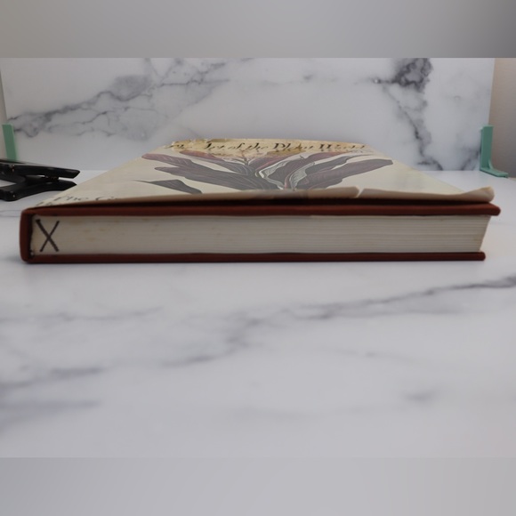 Vintage 1980's Botanical Art Book The Art Of The Plant World  Martyn Rix - Picture 8 of 16